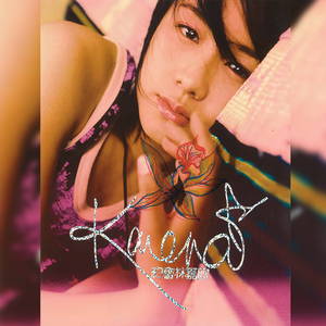 ydj777最新版本更新内容分享
