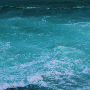 ydj777最新版本更新内容分享
